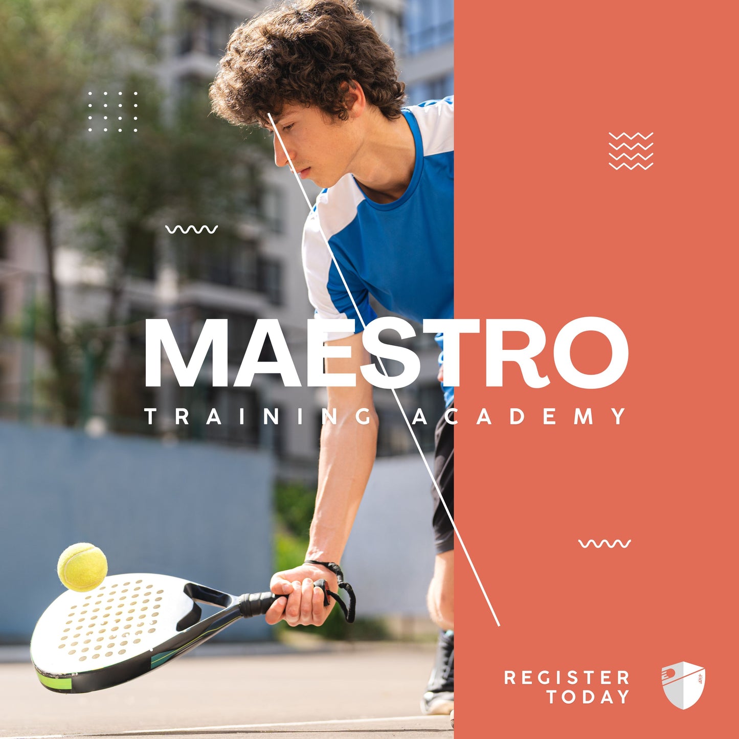 Maestro Training Academy