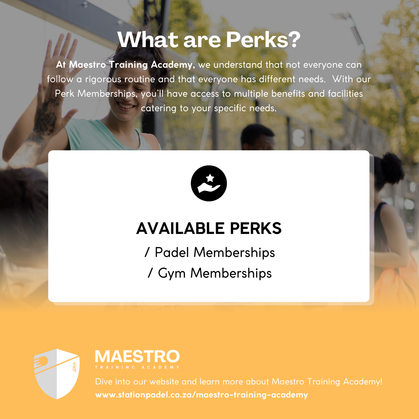 Maestro Training Academy Perks